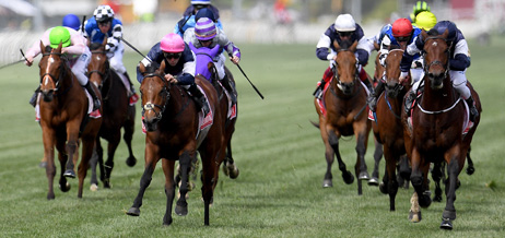 Office sweepstakes rules melbourne cup results Office sweepstakes rules melbourne cup results